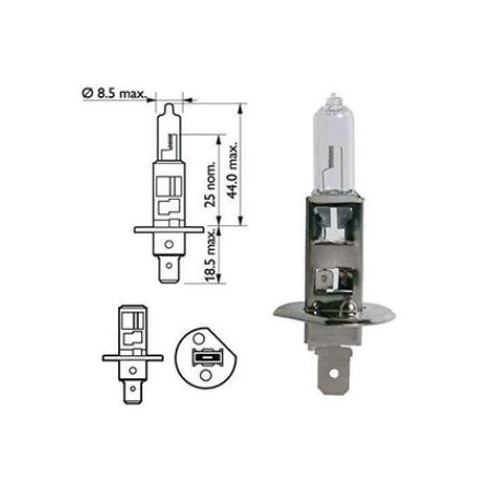 Ampoule avant H3 12v pour remorque