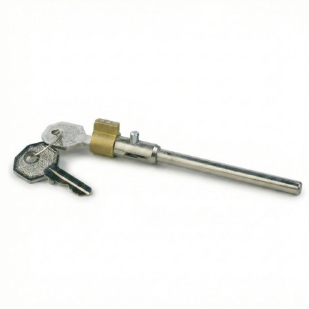 Antivol Remorque pour Stabilisateur AKS 1300 | Remorques Discount